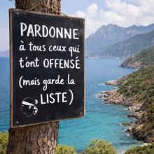 Conseil local