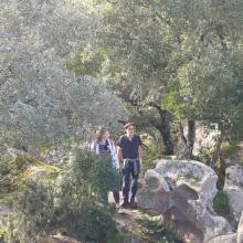 fdff1ff8-7423-46c6-a5dd-a3ddb1491b99