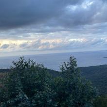 0cdbff90-5932-45b3-80fc-61f2bc6ceef2