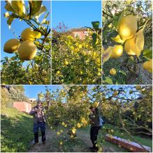 60dd1e23-c663-42b3-a243-eaca8b3d30d6