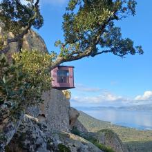 0b613950-eb4b-4526-9b93-3556932d6f49